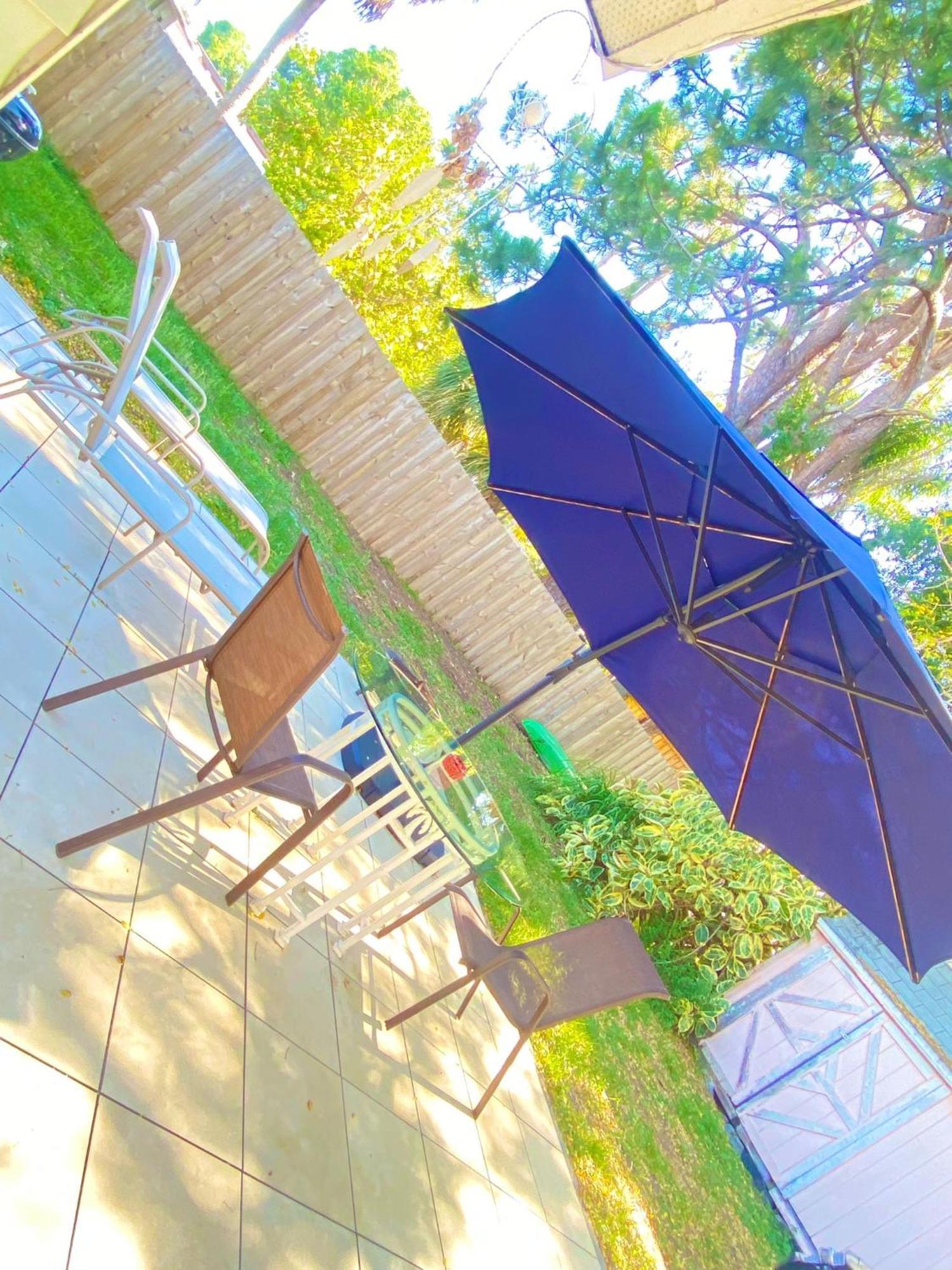 Cozy Studio Only 10 Minutes By Car Of Siesta Key Сарасота Екстериор снимка